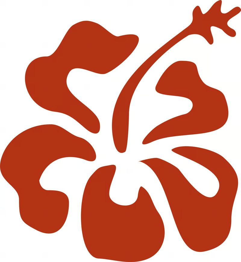 Podcast Interview with our Director, Shelley Sacks