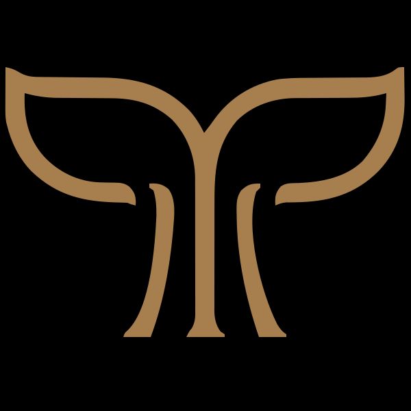 Welcome to TAIP, Atelier Balena Kindergarten!